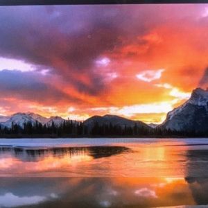 Meet your Posher, Isabella